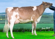 Sterndale Ladd Airy Red VG88 - She SELLS