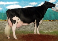 Windy-Knoll-View Promis EX95-2E