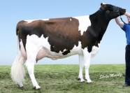 Riverdane Strawberry Red EX91 - Goldsun from the Sara's Selling