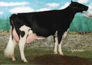 Windy-Knoll-View Promis EX95