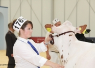 Showing at the Dairy Expo 2012