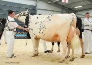 Dairy Expo 2012