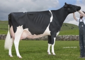 Lot 10 - Sterndale Atwood Noel RC VG89 3YR