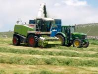 Silaging 2012